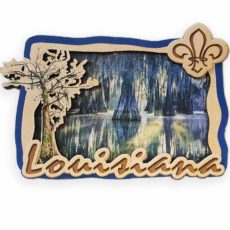 Cypress Swamp Magnet